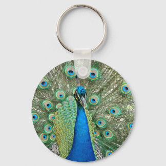 Peacock Chaveiro