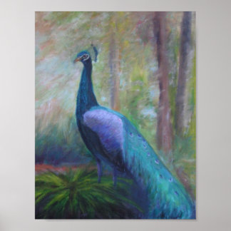 PEACOCK DA BASE DA Poster JUVENTUDE