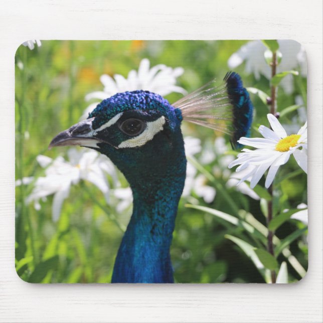 Peacock e Daisies Mouse Pad (Frente)