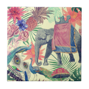 Peacock Elefante Exótico Bonito