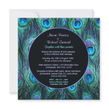 Peacock Feather Drama - Praça do Convite para Casa