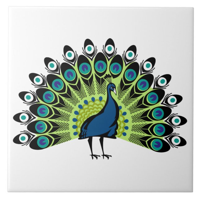 Peacock ilustrado (Frente)