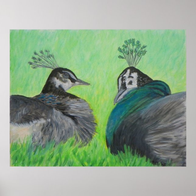 PEACOCK LOVE Poster (Frente)