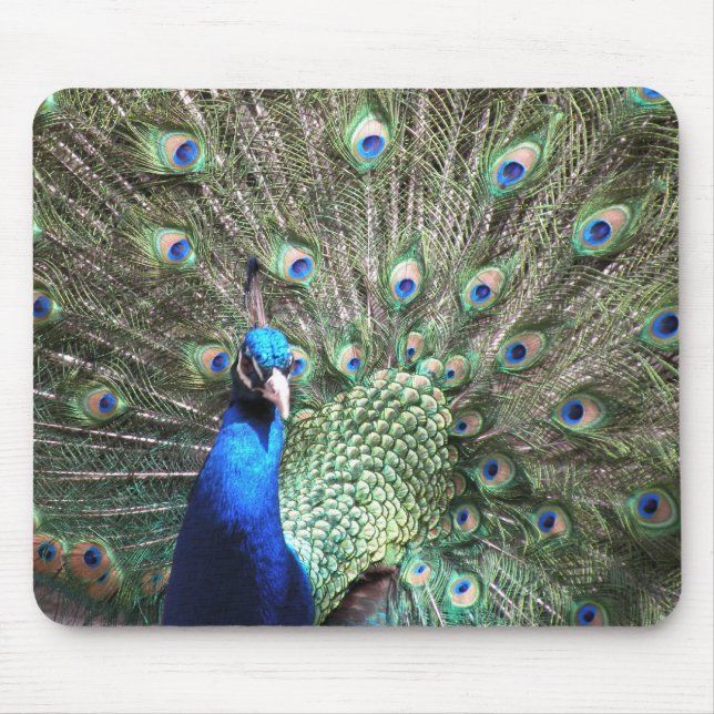 Peacock Mousepad (Frente)
