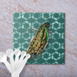 Peacock Por D'Orbigny