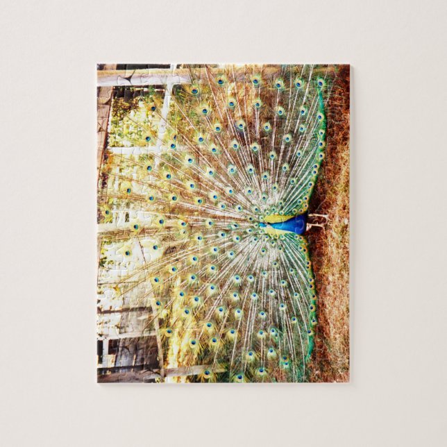 Peacock Quebra-cabeça (Vertical)