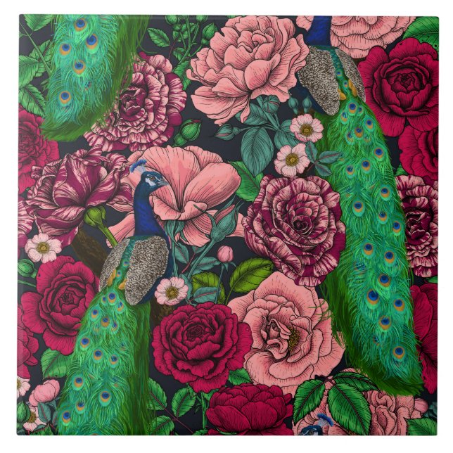 Peacocks no rosa 2 (Frente)