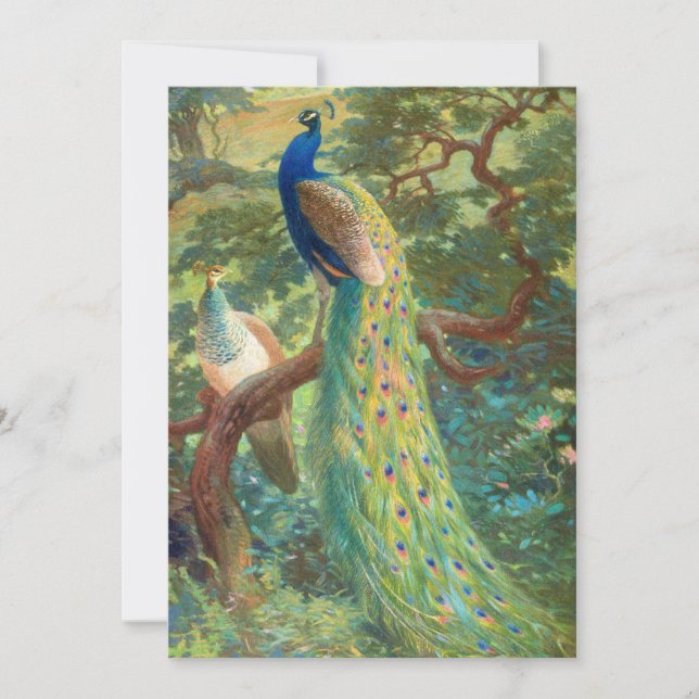 Peafowl indiano | Charles Robert Knight (Frente)