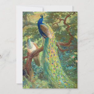 Peafowl indiano Charles Robert Knight