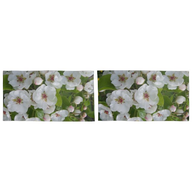 Pear Blossoms (Traseira-Conjunto)