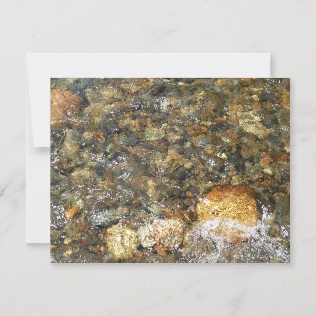 Pebolhas Vestidas no rio Castanho e Abstrato natur (Frente)