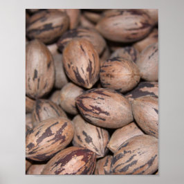 Pecan Poster