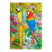 Peças de Macaw Tropicais de Aquarela Poster