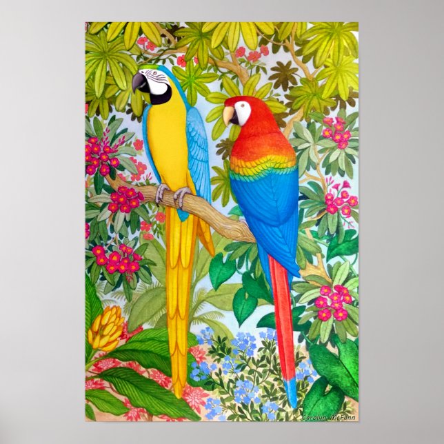 Peças de Macaw Tropicais de Aquarela Poster (Frente)