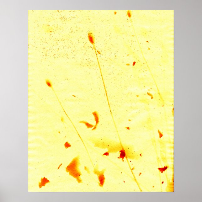 Pedaços de papoila e sementes secos por Poster (Frente)