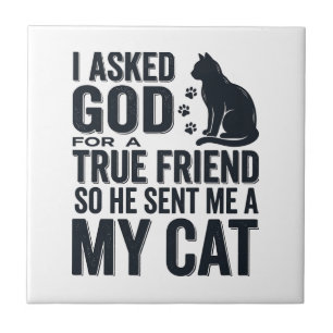 Pedi a Deus um Amigo Verdadeiro Meu Gato Design Vi