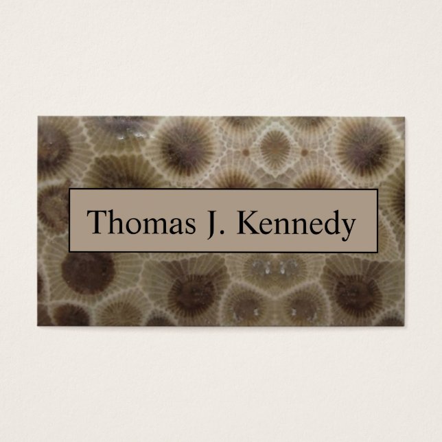 Pedra de Petoskey (Frente)