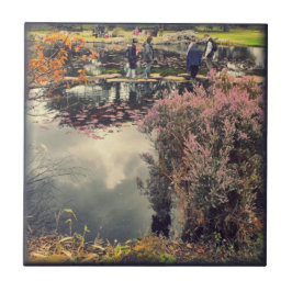 Pedras de espaçamento