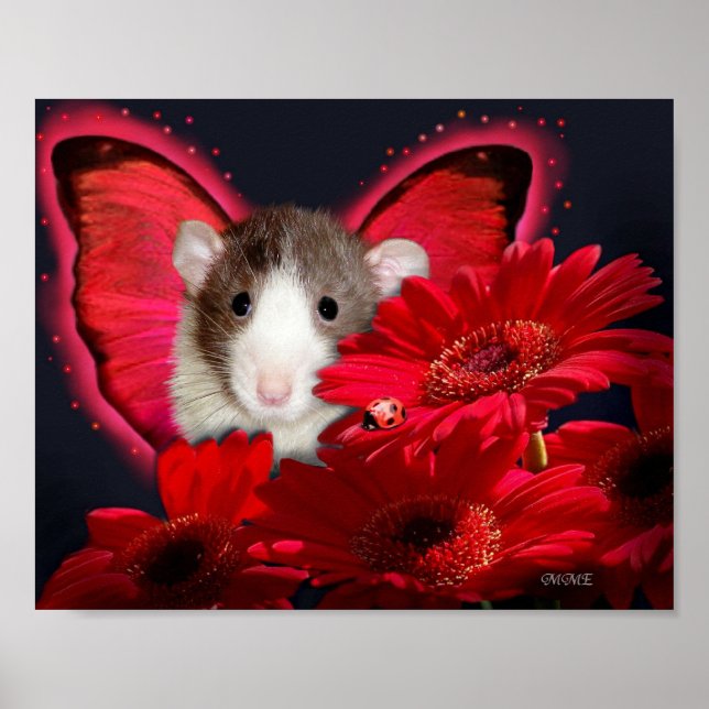 Peek-a-boo, eu te vejo! Pôster (Frente)