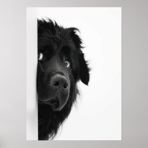 Peek-a-Boo Pup – Impressão de fotografia engraçada