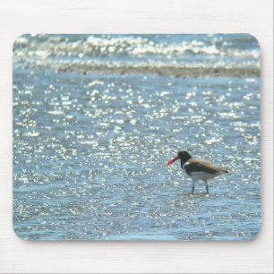 Pega-do-mar americana Mousepad