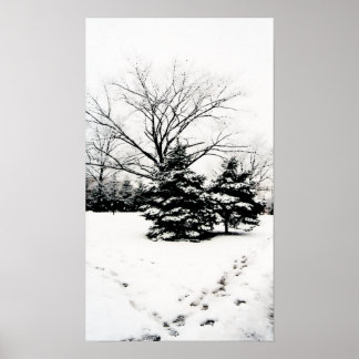 Pegadas na Poster de neve