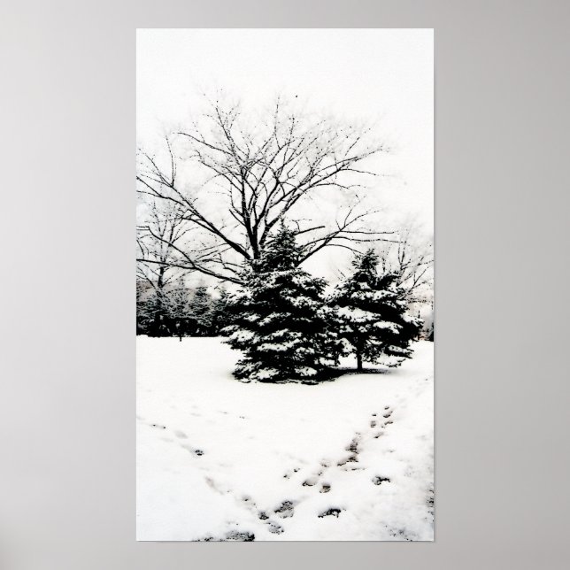 Pegadas na Poster de neve (Frente)