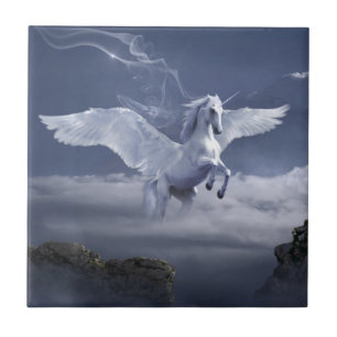 Pegasus em voo