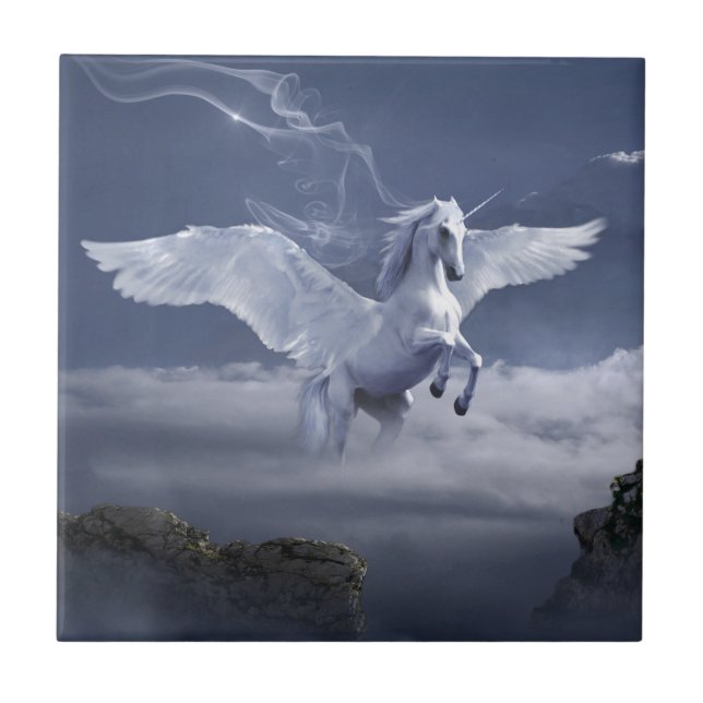 Pegasus em voo (Frente)