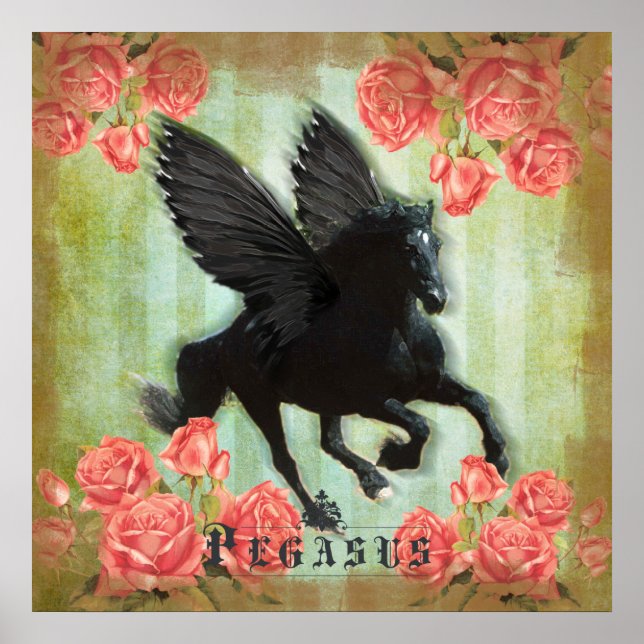 Pegasus - Poster (Frente)