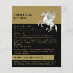 Pegasus, Serviço Jurídico e Folheto Publicitário