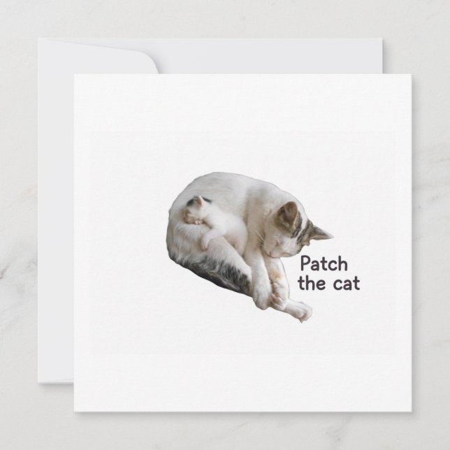 PEGUE O GATO E O COLO DELA (Frente)