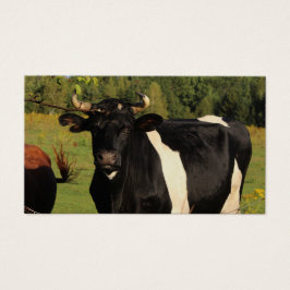 Pegue o Touro pelos Cornos