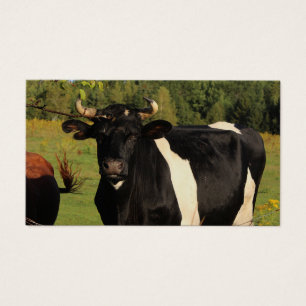 Pegue o Touro pelos Cornos