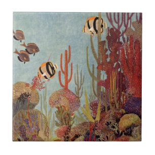 Peixe-anjo no Coral, Peixe Tropical Antigo no Ocea