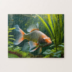 Peixe Art 2 Fácil cérebro Quebra-cabeça Fotografia