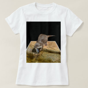 Peixe Comido De Tarte, Camiseta Branca De Meninas