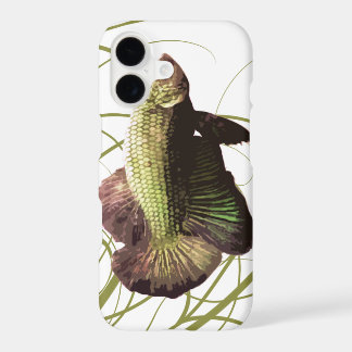 Peixe-de-luta Tailandês Betta Dourado