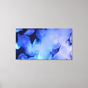 PEIXE DE PEIXE NA CANVAS 20 "x 16"