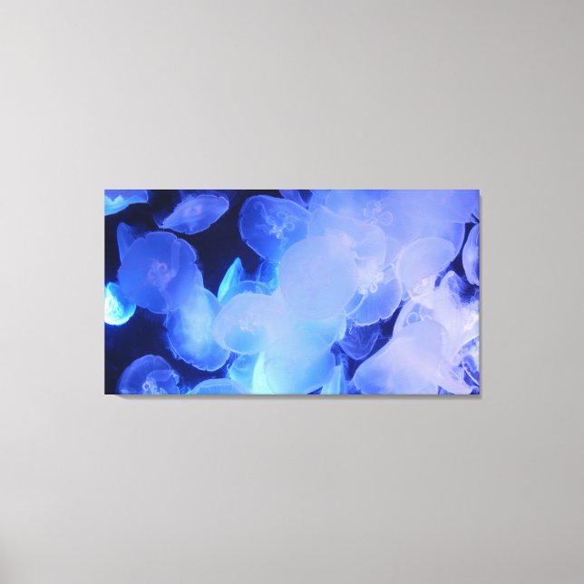 PEIXE DE PEIXE NA CANVAS 20 "x 16" (Frente)