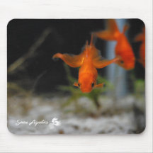 Peixe dourado alaranjado Mousepad do Fantail de