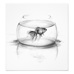 Peixe dourado em um impressão da foto da arte do
