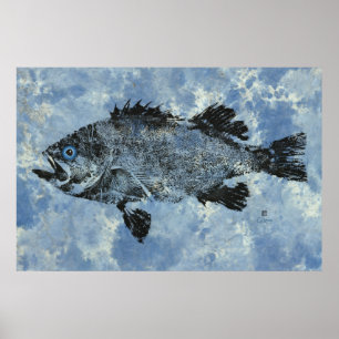 Peixe-Foguete Preto em Azul - Poster de 36" x 24"