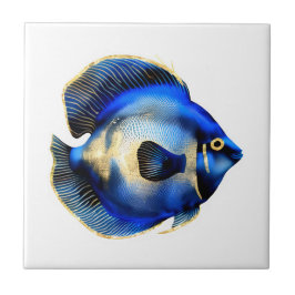 Peixe-gato-do-mar-do-mar-Dourado-azul-hipopótamo