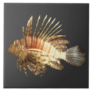 Peixe-leão no escuro