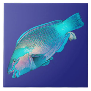 Peixe-Papagaio Colorido Oceano Azul Mar