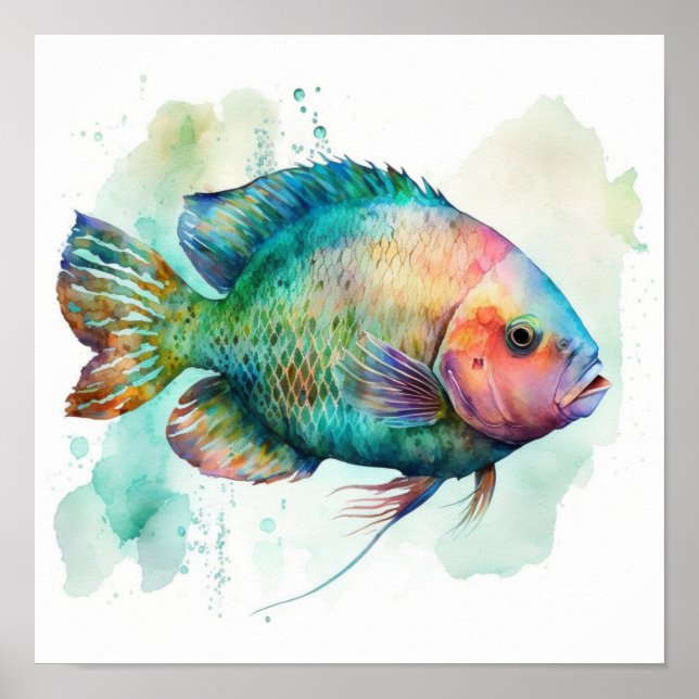 Peixe papagaio em pôster de aquarela (Frente)