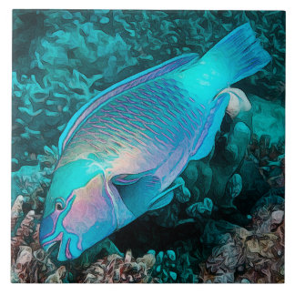 Peixe Papagaio Recife de Coral Colorido Peixe Ocea