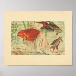Peixe Tropical Peixe Vintage - Impressão