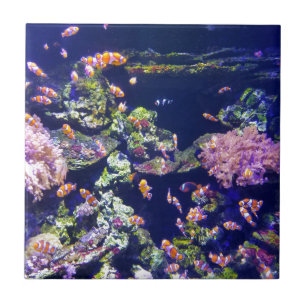 Peixes alaranjados subaquáticos do palhaço em